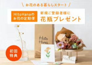 HitoHanaのサービスについて-HitoHana（ひとはな）-12-26-2025_11_11_AM