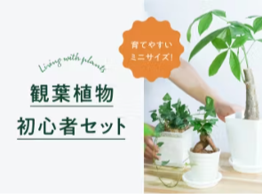 HitoHanaのサービスについて-HitoHana（ひとはな）-12-26-2025_11_12_AM