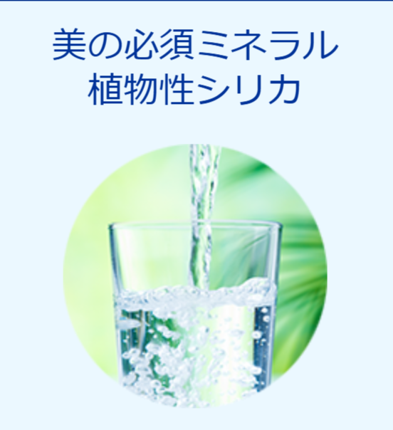 高機能浄水器-Welvina-12-25-2025_04_58_PM